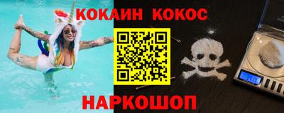 СК Новодвинск