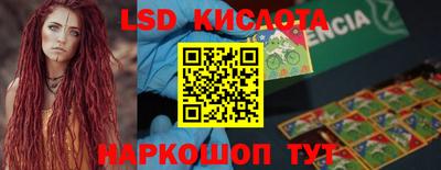 СК Новодвинск