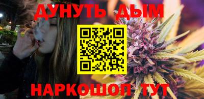 стаф Новозыбков