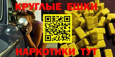 СК Новодвинск