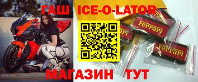 СК Новодвинск