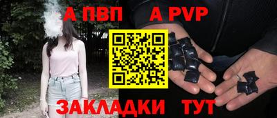 СК Новодвинск