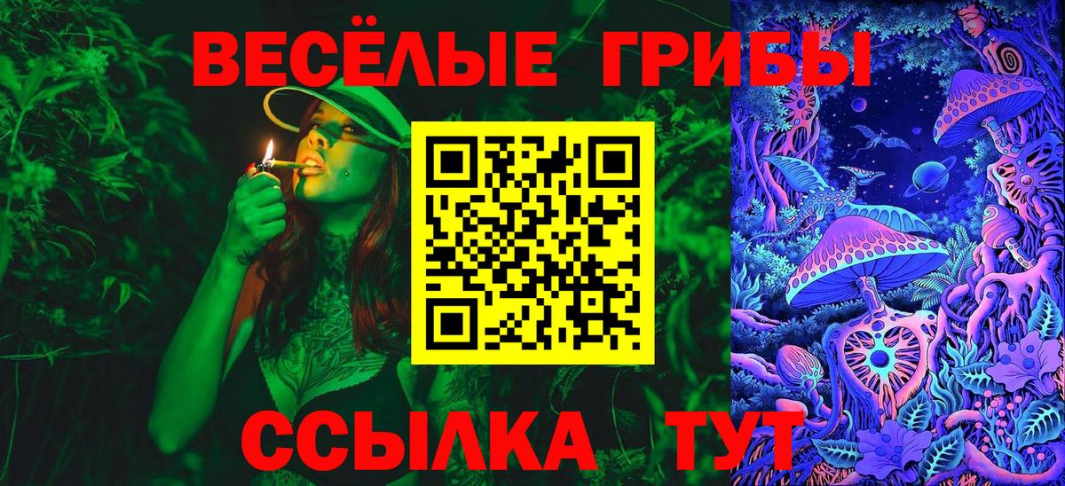 Псилоцибиновые грибы MAGIC MUSHROOMS  Псилоцибиновые грибы Psilocybe  Сокол  Вход с VPN 