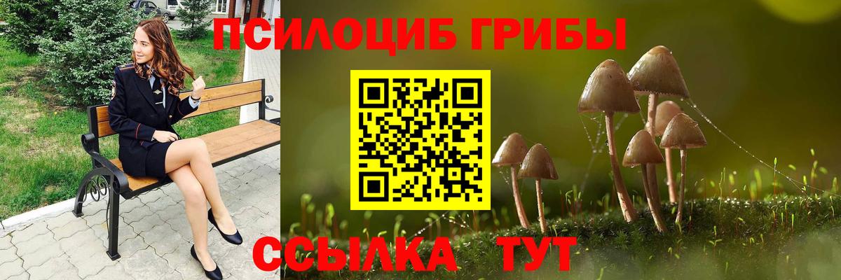 Псилоцибиновые грибы прущие грибы Сокол